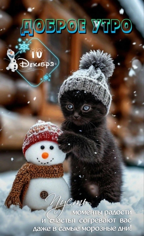 Прикольные картинки Доброе утро. Прикольные картинки Доброе утро (зимние)