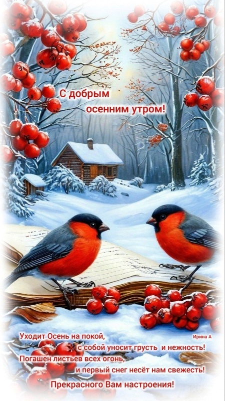 Осенние картинки Доброе утро. Красивые осенние картинки Доброе утро