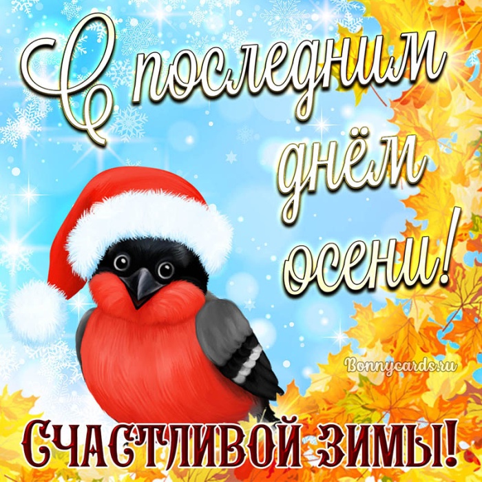 100 картинок с последним днём осени. Картинки «С последним днём осени» для друзей