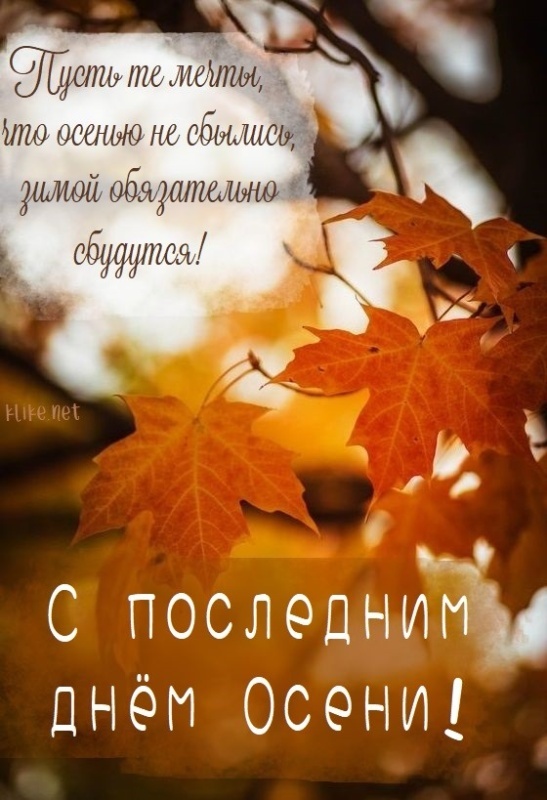 100 картинок с последним днём осени. Картинки с последним днем осени вертикальные