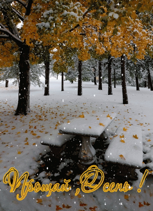 100 картинок с последним днём осени. Картинки с анимацией на последний день осени