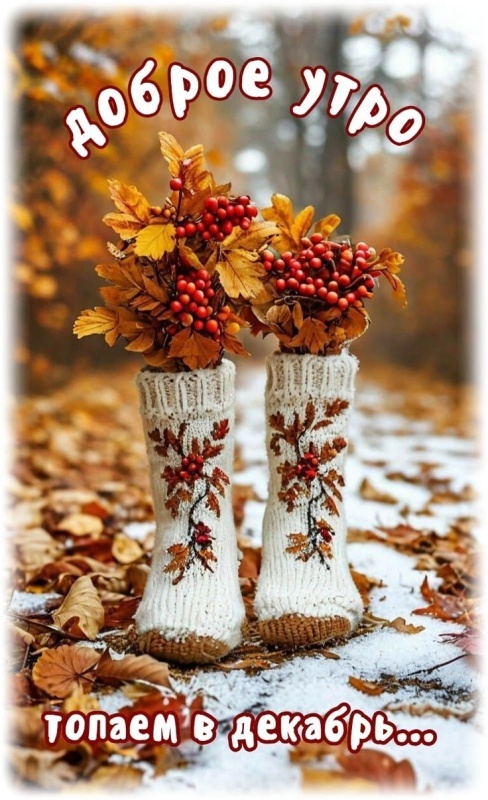 Красивые картинки Доброе утро ноября. Позитивные картинки Доброе утро ноября