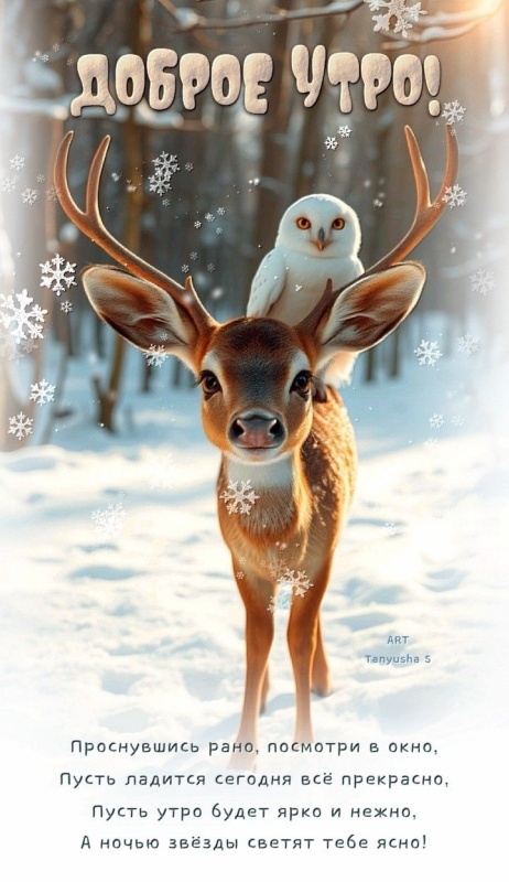 Прикольные картинки Доброе утро. Прикольные картинки Доброе утро (зимние)