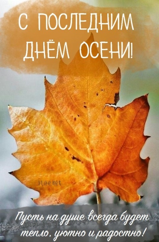 100 картинок с последним днём осени. Картинки с последним днем осени вертикальные