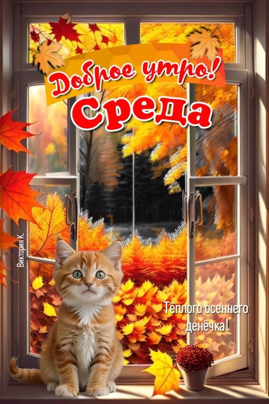 Красивые картинки Доброе утро среды. Доброе утро среды - картинки новые, осенние