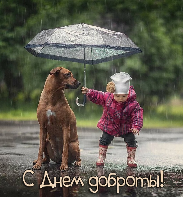 Картинки и открытки на Всемирный день доброты. Прикольные открытки с Днем доброты