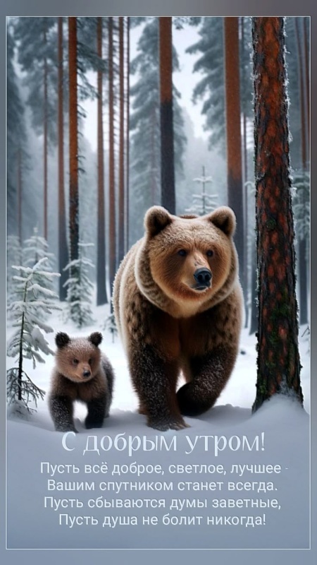 Картинки «Доброе зимнее утро» — коллекция зимних открыток с пожеланиями. Доброе зимнее утро - картинки с пейзажами