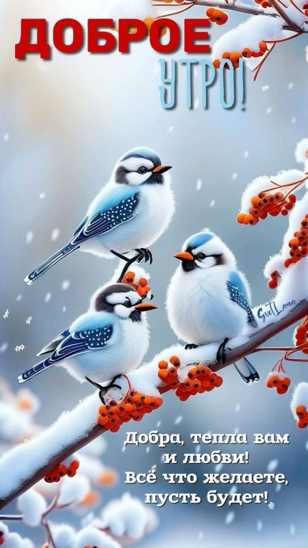 Красивые картинки Доброе утро ноября. Красивые картинки Доброе утро ноября