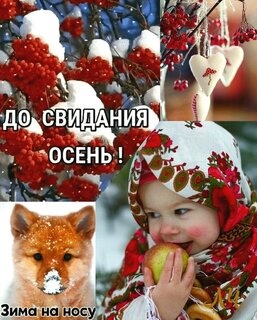 100 картинок с последним днём осени. Картинки «С последним днём осени» для друзей