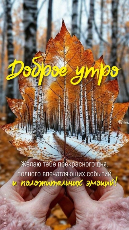 Осенние картинки Доброе утро