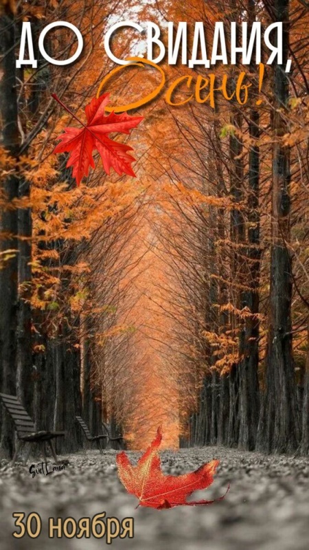 100 картинок с последним днём осени. Картинки с последним днем осени вертикальные