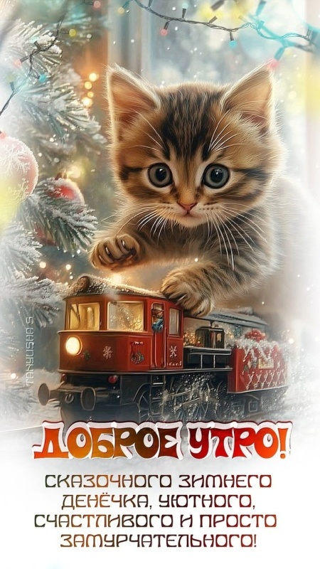 Картинки «Доброе зимнее утро» — коллекция зимних открыток с пожеланиями. Зимние картинки "Доброе утро" с котиками