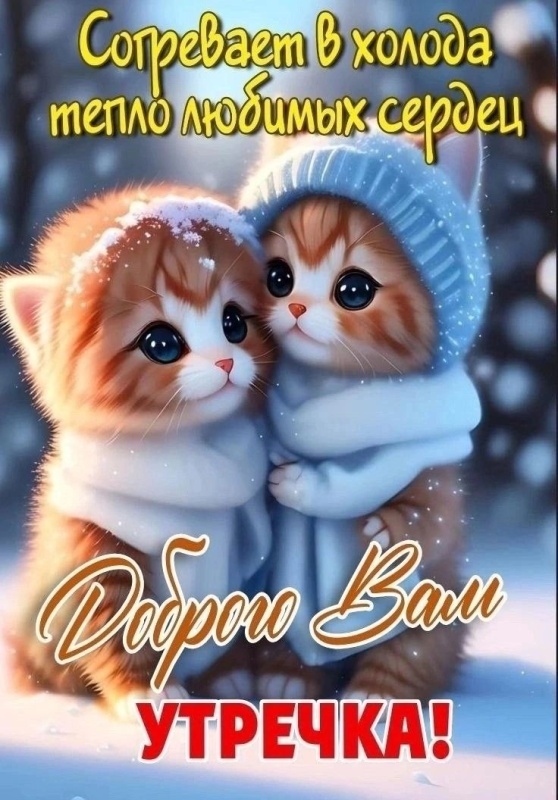 Картинки «Доброе зимнее утро» — коллекция зимних открыток с пожеланиями. Зимние картинки "Доброе утро" с котиками
