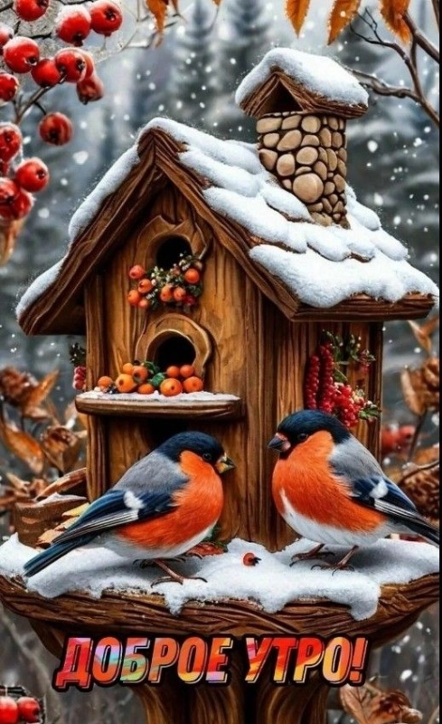 Осенние картинки Доброе утро. Красивые осенние картинки Доброе утро