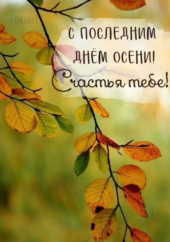 100 картинок с последним днём осени. Картинки с последним днем осени вертикальные