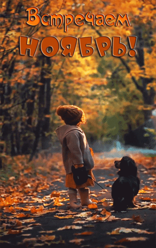 Красивые картинки Доброе утро ноября. Красивые картинки Доброе утро ноября