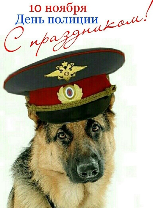 Открытки на День полиции 2025. Прикольные открытки с Днем полиции