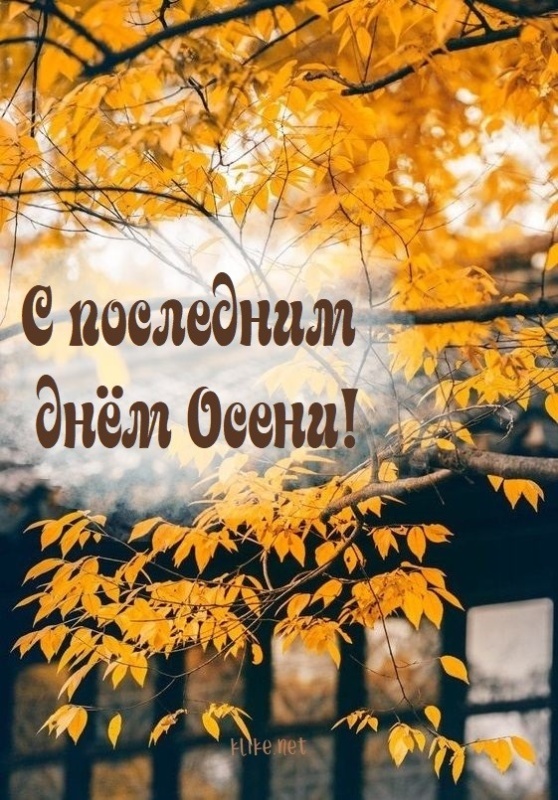 100 картинок с последним днём осени. Картинки с последним днем осени вертикальные