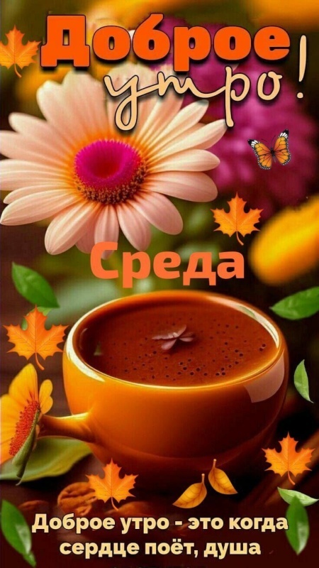 Красивые картинки Доброе утро среды. Доброе утро среды - картинки новые, осенние