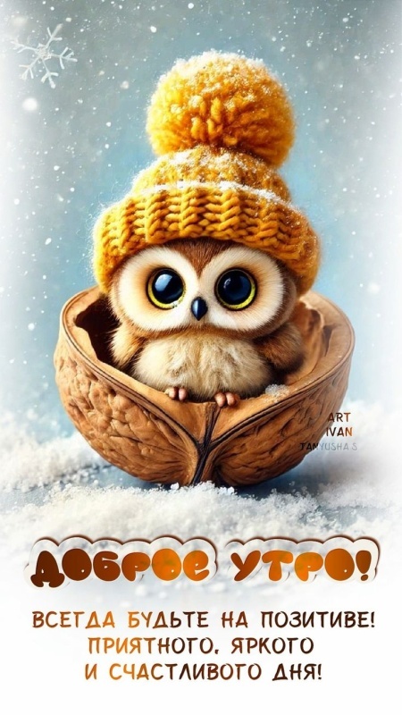 Прикольные картинки Доброе утро. Прикольные картинки Доброе утро (зимние)