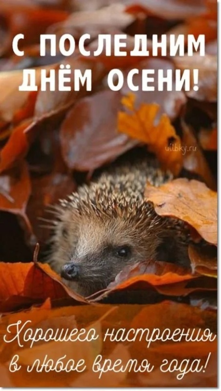 100 картинок с последним днём осени. Картинки с последним днем осени вертикальные