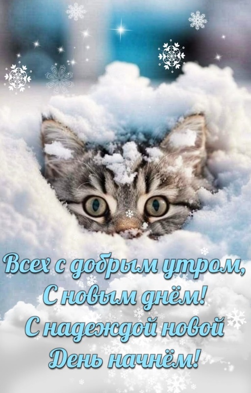 Картинки «Доброе зимнее утро» — коллекция зимних открыток с пожеланиями. Зимние картинки "Доброе утро" с котиками