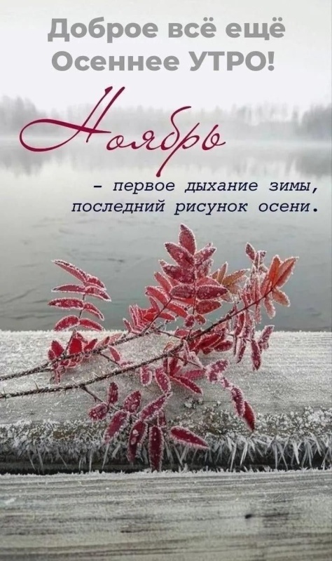 100 картинок с последним днём осени. Картинки с последним днем осени вертикальные
