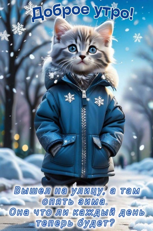 Картинки «Доброе зимнее утро» — коллекция зимних открыток с пожеланиями. Зимние картинки "Доброе утро" с котиками