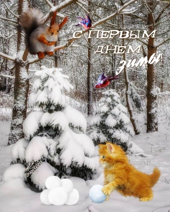 Картинки с первым днем зимы и с началом зимы. Картинки с первым днем зимы и с началом зимы