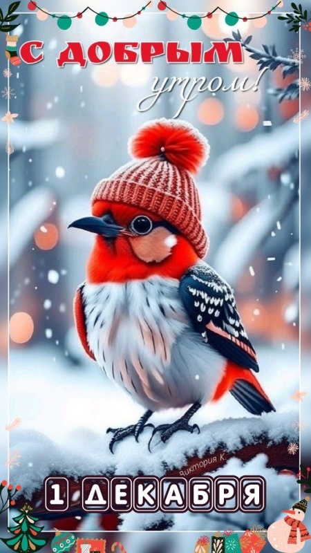 Красивые картинки Доброе утро декабря. Красивые и новые картинки Доброе утро декабря