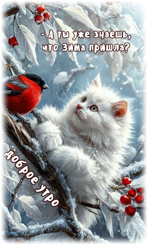 Картинки с первым днем зимы и с началом зимы. Картинки с первым днем зимы и с началом зимы