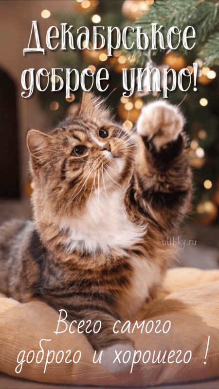 Красивые картинки Доброе утро декабря. Красивые и новые картинки Доброе утро декабря