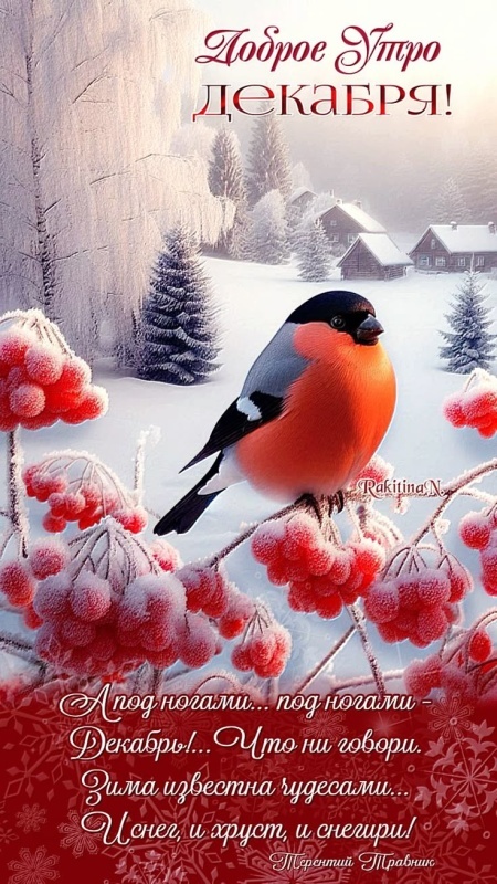 Красивые картинки Доброе утро декабря. Красивые и новые картинки Доброе утро декабря