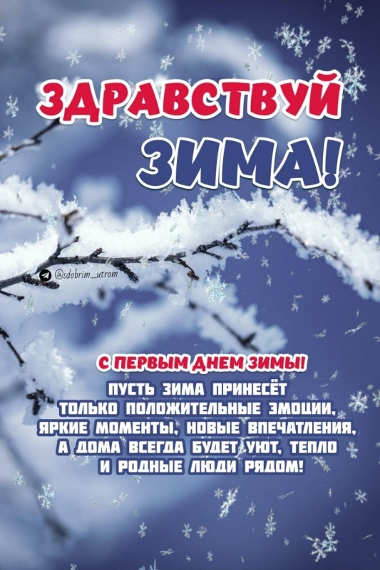 Картинки с первым днем зимы и с началом зимы. Красивые картинки с первым днем зимы
