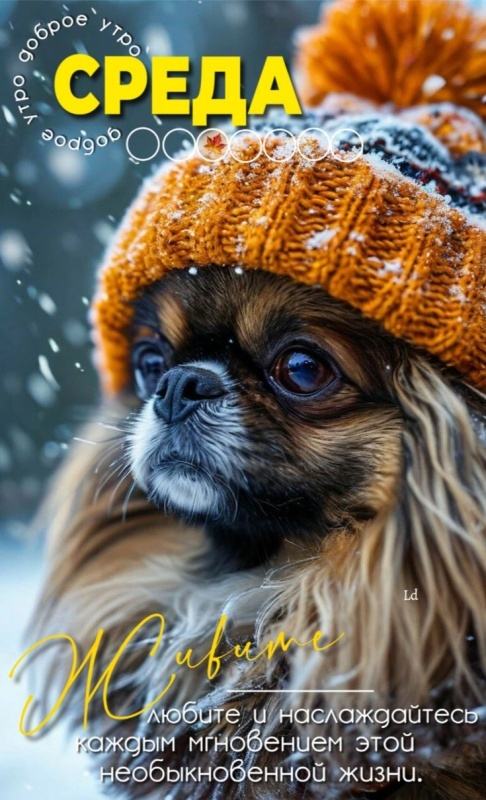 Картинки Доброе утро среды (100 открыток). Доброе утро среды - картинки зимние