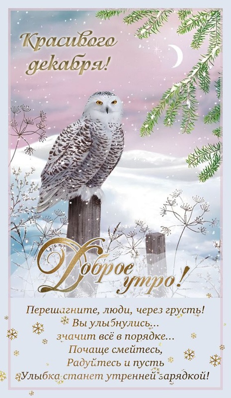 Красивые картинки Доброе утро декабря. Красивые и новые картинки Доброе утро декабря