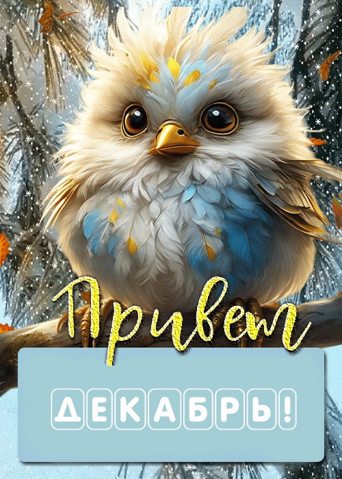 Картинки с первым днем зимы и с началом зимы. Картинки с первым днем зимы и с началом зимы