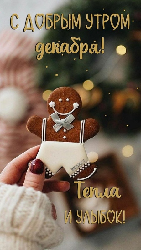 Красивые картинки Доброе утро декабря. Красивые и новые картинки Доброе утро декабря