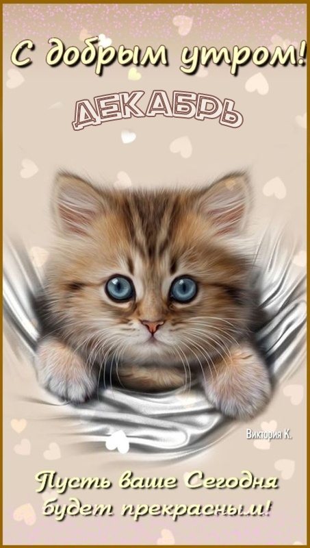 Красивые картинки Доброе утро декабря. Красивые и новые картинки Доброе утро декабря