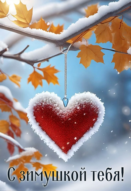 Картинки с первым днем зимы и с началом зимы. Картинки с первым днем зимы и с началом зимы