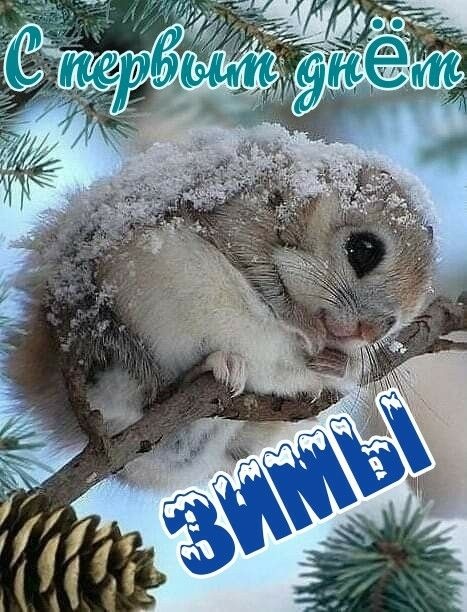 Картинки с первым днем зимы и с началом зимы. Картинки с первым днем зимы и с началом зимы