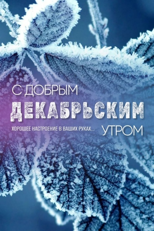 Красивые картинки Доброе утро декабря. Красивые и новые картинки Доброе утро декабря