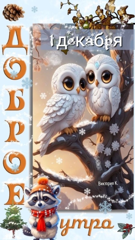 Картинки с первым днем зимы и с началом зимы. Красивые картинки с первым днем зимы