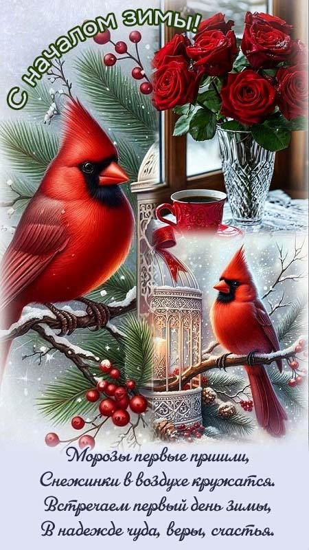 Картинки с первым днем зимы и с началом зимы