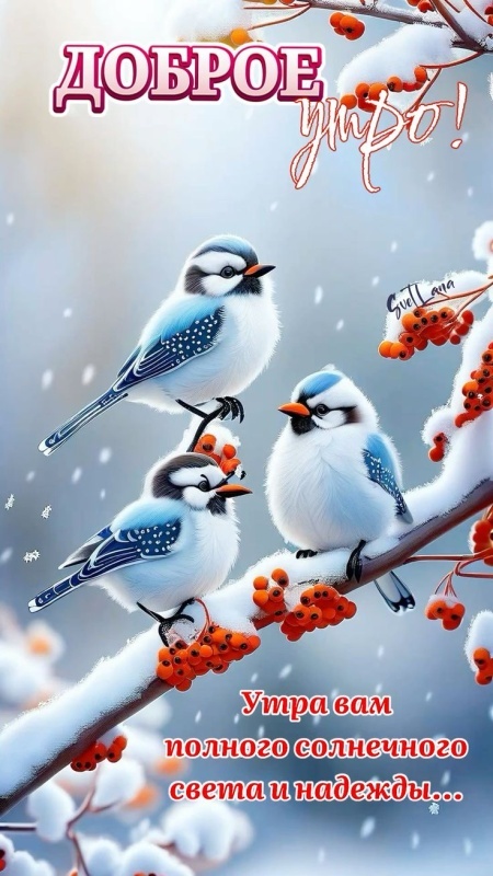 Картинки Доброе утро среды (100 открыток). Доброе утро среды - картинки зимние