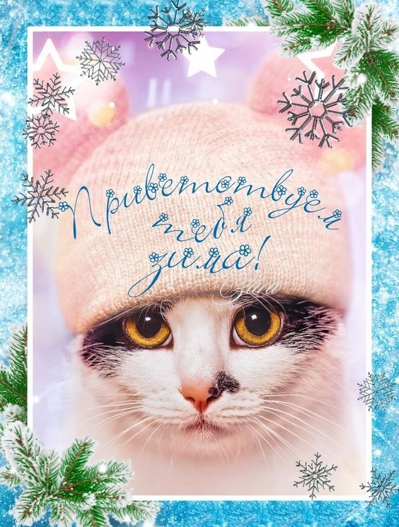 Картинки с первым днем зимы и с началом зимы. Картинки с первым днем зимы и с началом зимы