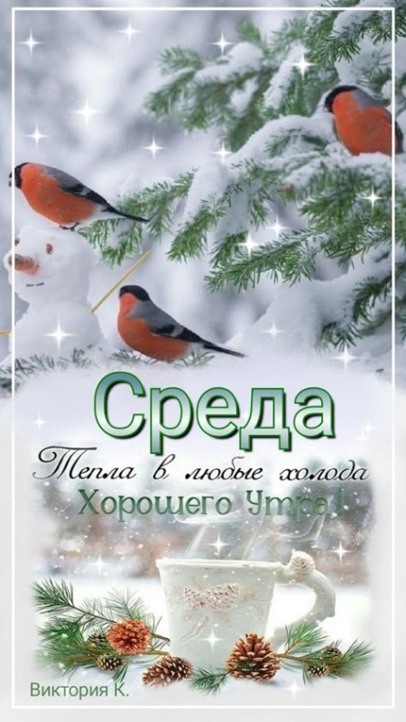 Картинки Доброе утро среды (100 открыток). Доброе утро среды - картинки зимние