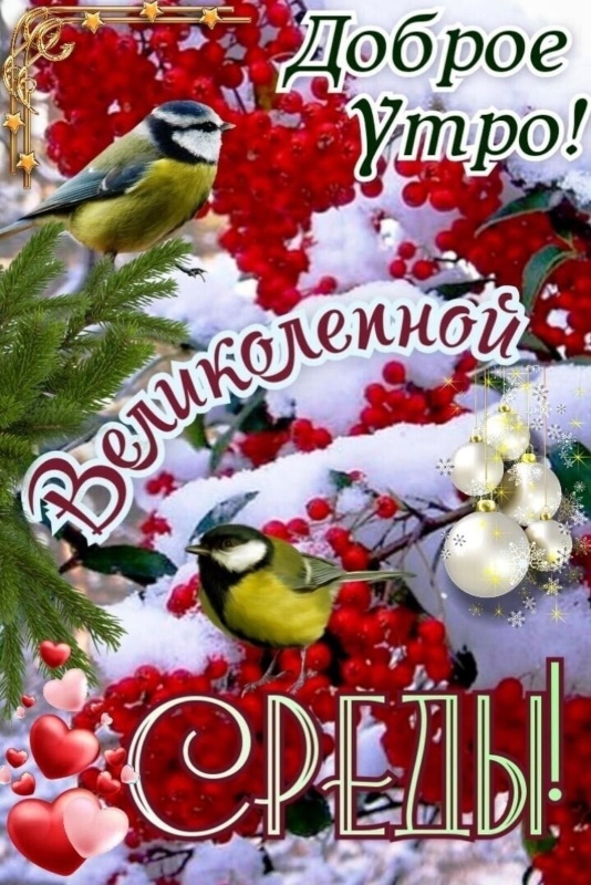 Картинки Доброе утро среды (100 открыток). Доброе утро среды - картинки зимние
