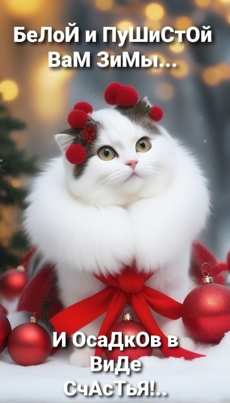 Картинки с первым днем зимы и с началом зимы. Картинки с первым днем зимы и с началом зимы