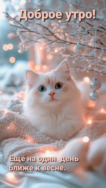 Красивые картинки Доброе утро декабря. Зимние картинки "Доброе утро декабря"